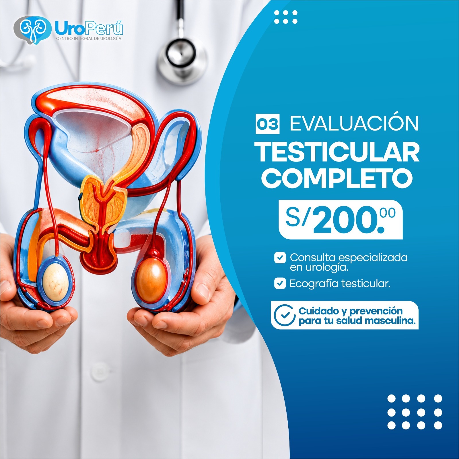 Evaluación Testicular Completo